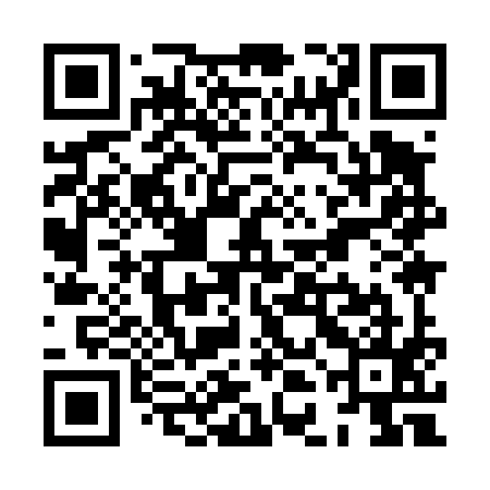 QR code for XDI495