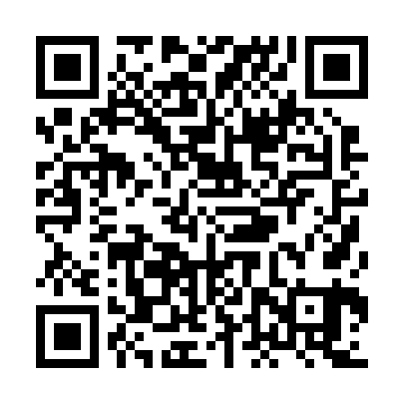 QR code for XDP261