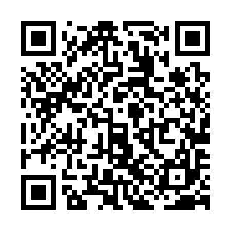 QR code for XFL397