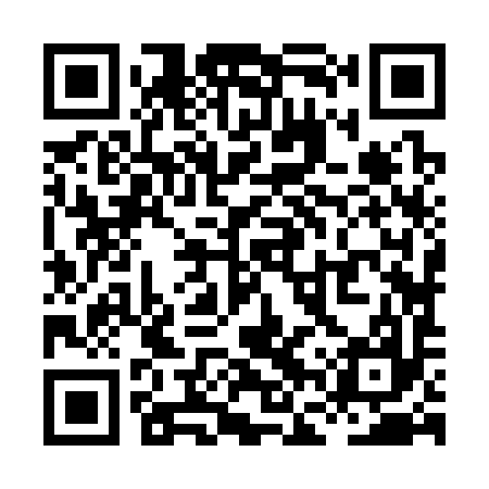 QR code for XFZ397