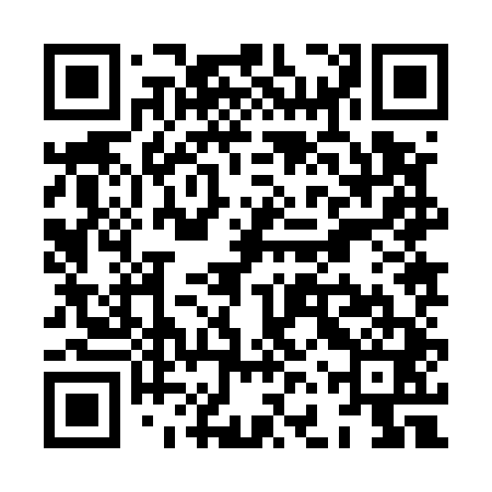 QR code for XFZ541
