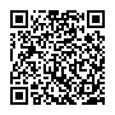 QR code for XGF333