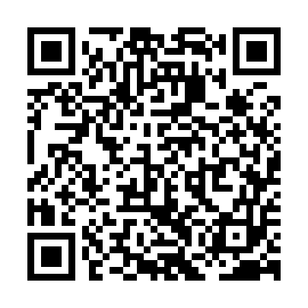 QR code for XGG953