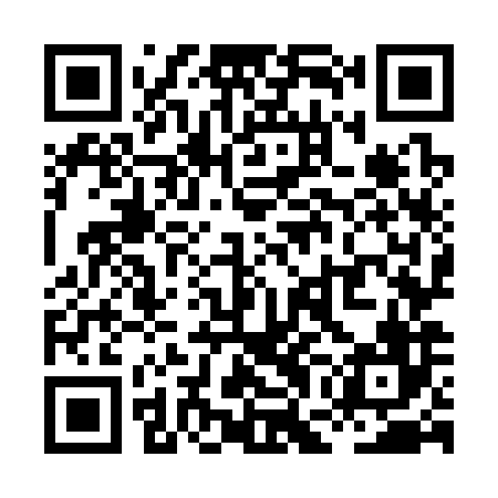 QR code for XGO386