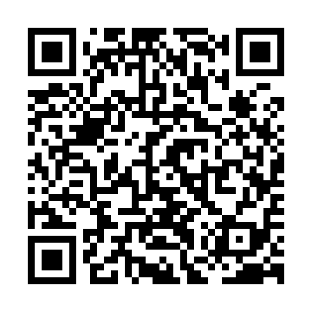 QR code for XGS919