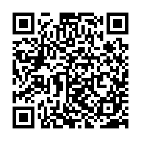 QR code for XHV387