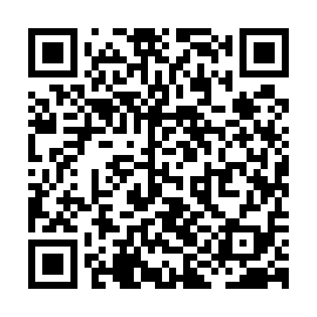 QR code for XII519