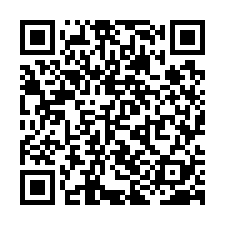 QR code for XIO729
