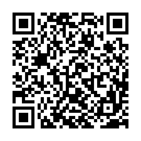 QR code for XIP396