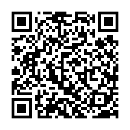 QR code for XIX609