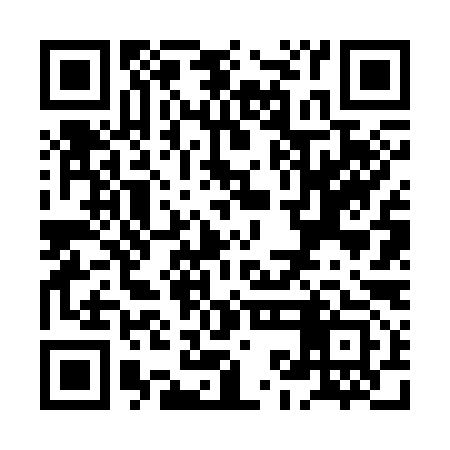 QR code for XKF393