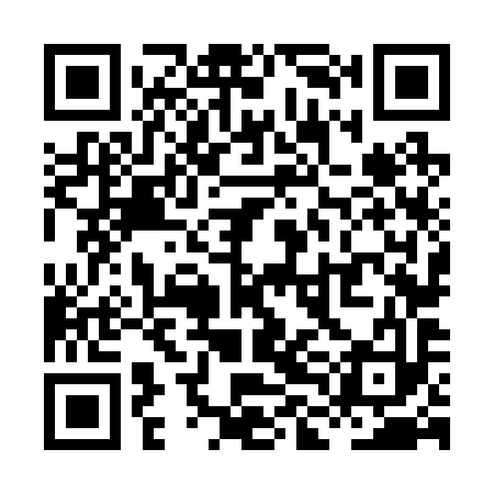 QR code for XLN293
