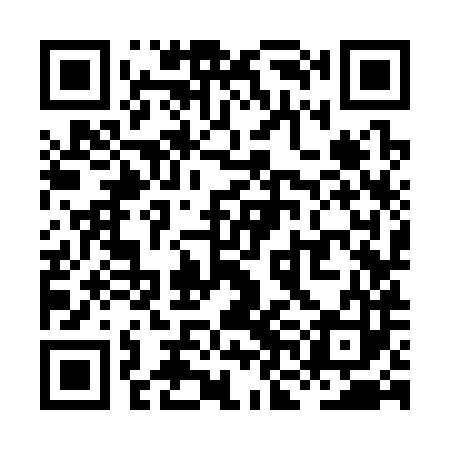 QR code for XNK383