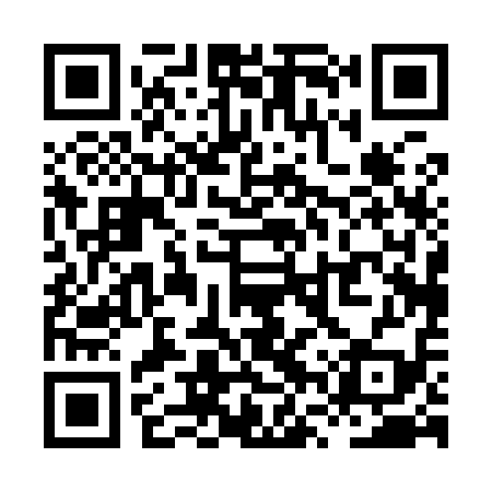 QR code for XVP919