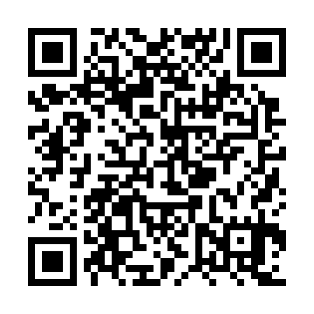 QR code for XVZ335