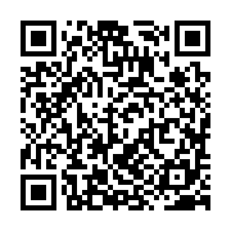 QR code for XYJ395