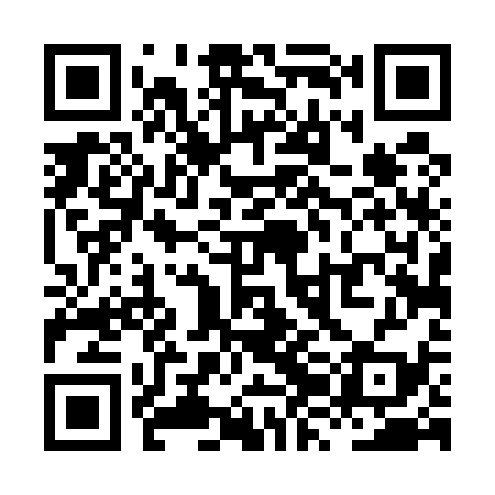 QR code for XZD539
