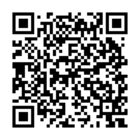 QR code for XZG295