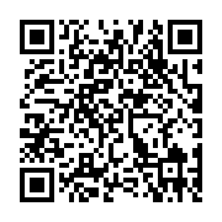 QR code for XZZ369