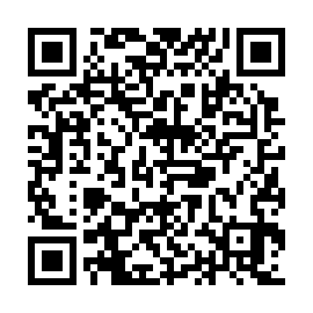 QR code for YAF333