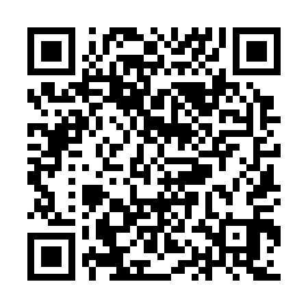 QR code for YAK311