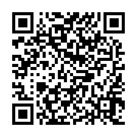 QR code for YAN916