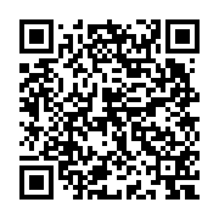 QR code for YFS651