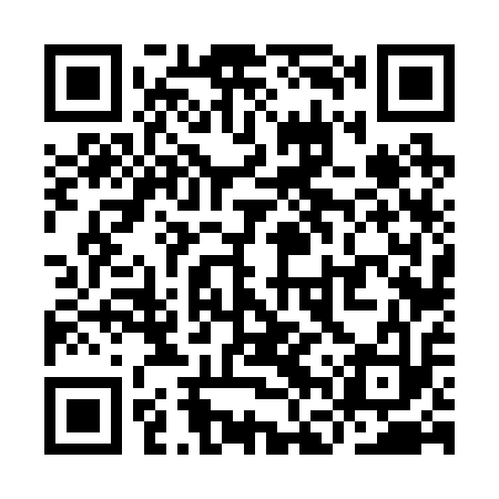 QR code for YFV213