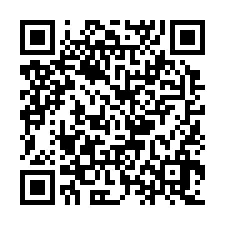 QR code for YHN336