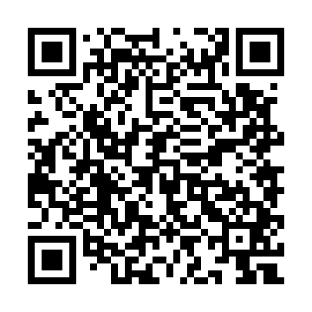 QR code for YIN541