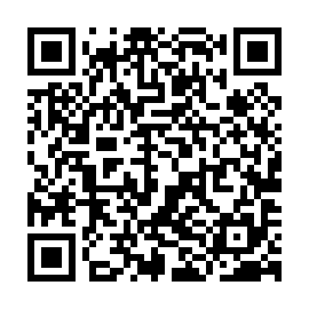 QR code for YLL095
