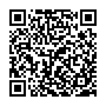 QR code for YNC384