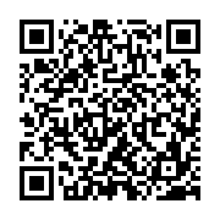 QR code for YSV336