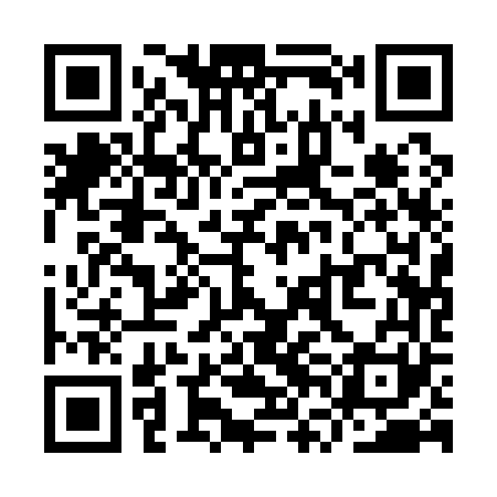 QR code for YVA161