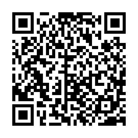 QR code for YYH295