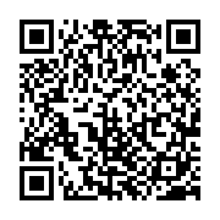 QR code for YYL161