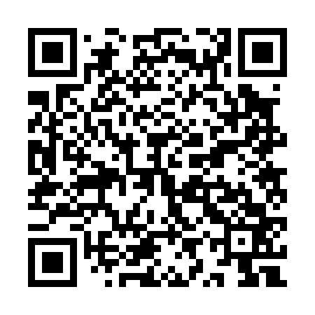 QR code for YYR063