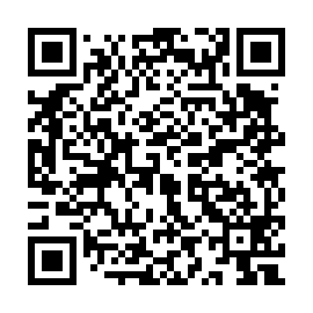 QR code for YYS499