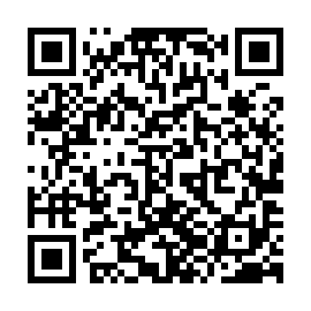 QR code for YZL991