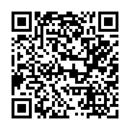 QR code for YZT486