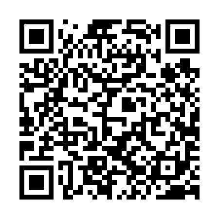 QR code for YZT691