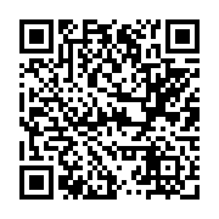 QR code for YZV641