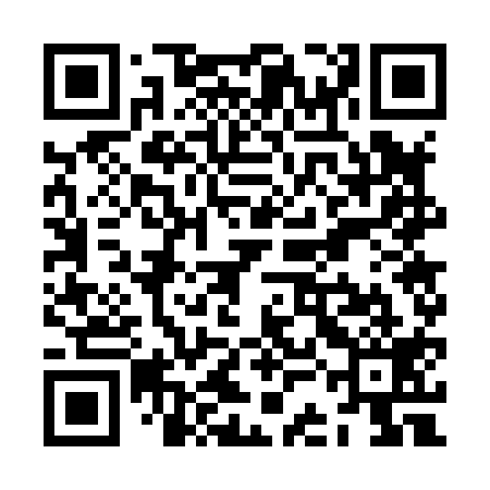 QR code for ZCG819