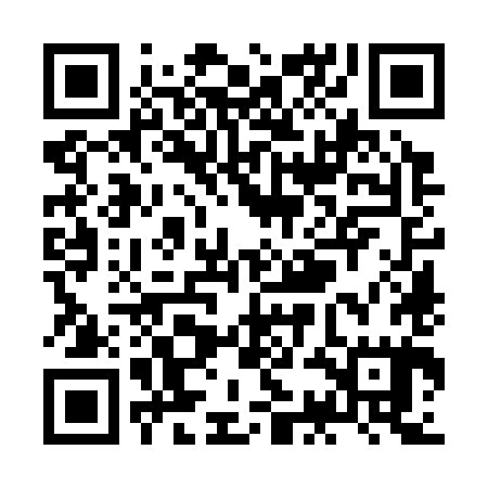 QR code for ZCO385