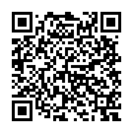 QR code for ZDB510