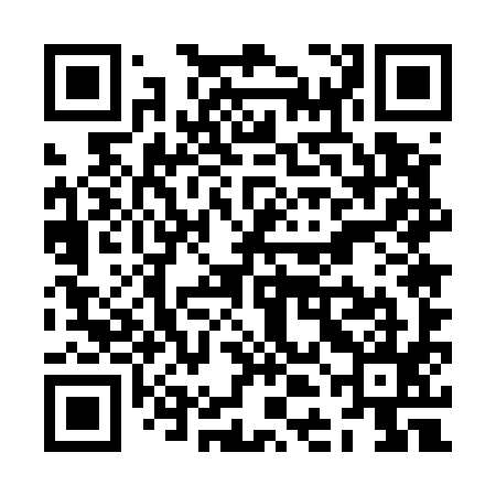 QR code for ZDE595