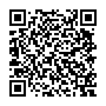 QR code for ZDI411
