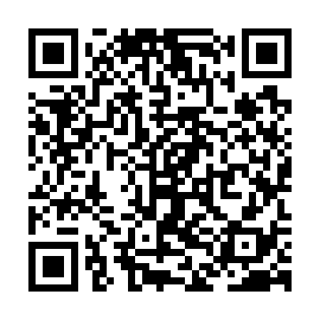QR code for ZDK738