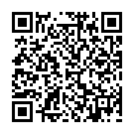 QR code for ZDL385