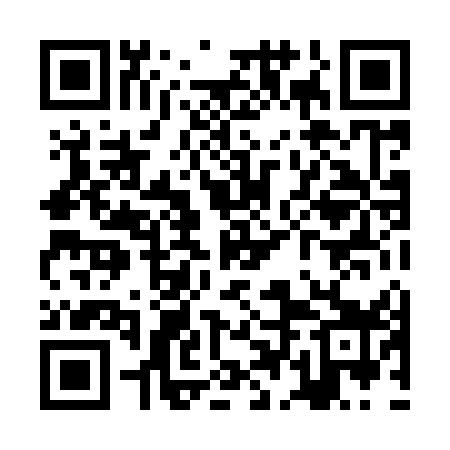 QR code for ZDL959